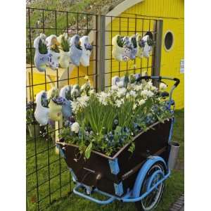 Wooden Shoes and Flowers, Keukenhof Gardens, Lisse, Netherlands 