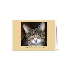  Birthday Greeting Cards, Funny Cat, Dont Give a Crap Card 