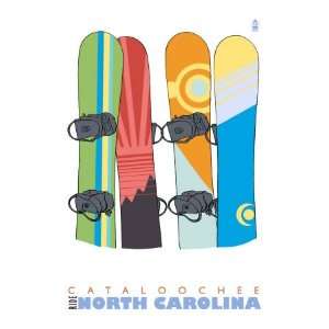  Cataloochee, North Carolina, Snowboards in the Snow Giclee 
