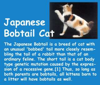 JAPANESE BOBTAIL CAT choco egg figure Japan gift PET 2  