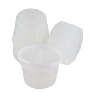 Plastic 16 oz. Deli Container with Lids   10 Count 