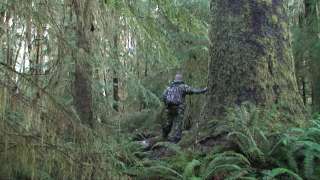 DVD SASQUATCH of CANADA Private Bigfoot Research Video  