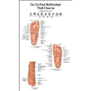  Tui Na Foot Reflexology Wall Chart (English Chinese 