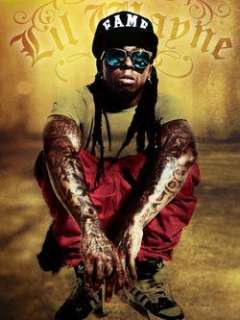 Lil Wayne ~ Fame ~ 30 x 40 ~ Fabric Cloth Poster Flag  