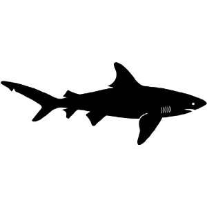 Nature Silhouette Wall Decals   Shark Fish Silhouette   12 inch 