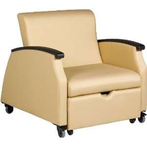  La Z Boy Florin Lounge Sleeper Chair