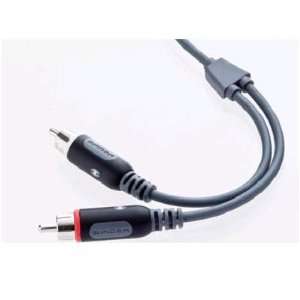  Spider International Inc. C Series_Audio Cable_6Ft 