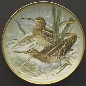   Birds of the World   Common Snipe   Franklin Mint 