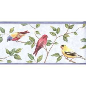  Wallpaper Border Multi Colored Birds in Tree Branches 